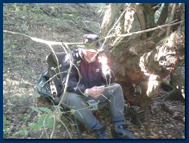 624x474 pixels (166K)